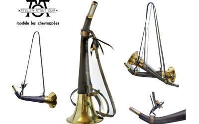 Les Chevronnées